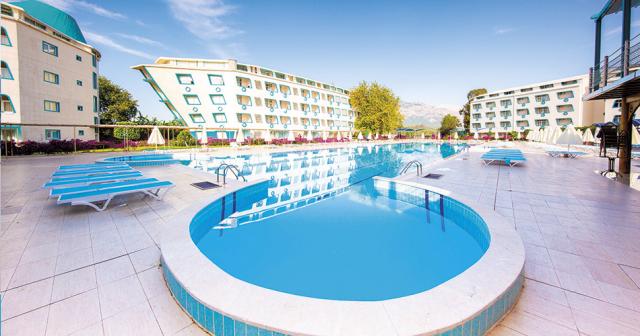 Daima-Biz-MAIN
