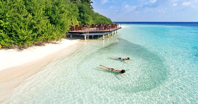 Embudu-Village-SNORKELING