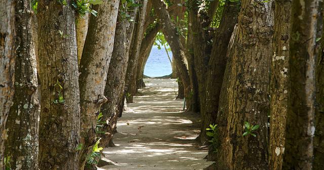 Embudu-Village-WALKAWAY