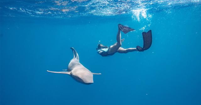 Sun-Siyam-Olhuveli-2025-SNORKELING