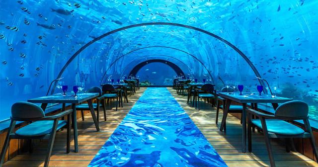 Hurawalhi-Island-Resort-RESTAURANT