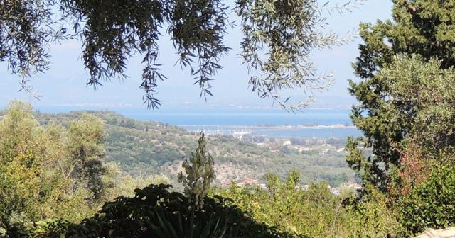 Pergola-VIEW