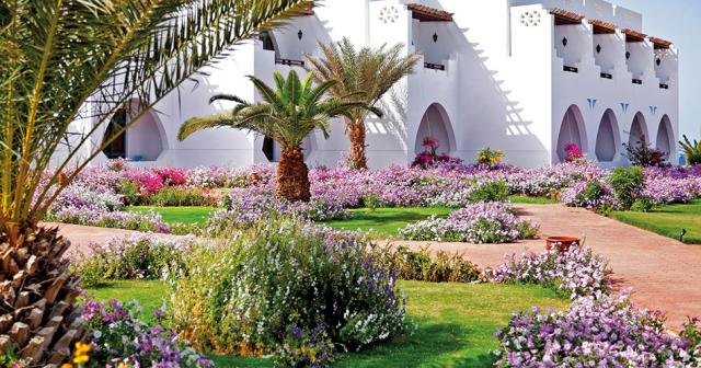 Three-Corners-Equinox-Beach-Resort-GARDEN-02