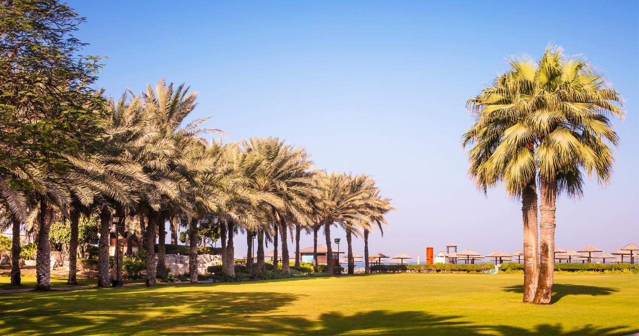 Coral-Beach-GARDEN
