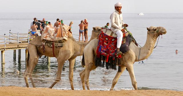 Hotel-Happy-Life-Village-CAMEL