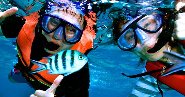 Mirage-Bab-Al-Bahr-Beach-Resort-SNORKLING-2022