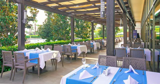 Sherwood-Dreams-Resort-2024-RESTAURANT