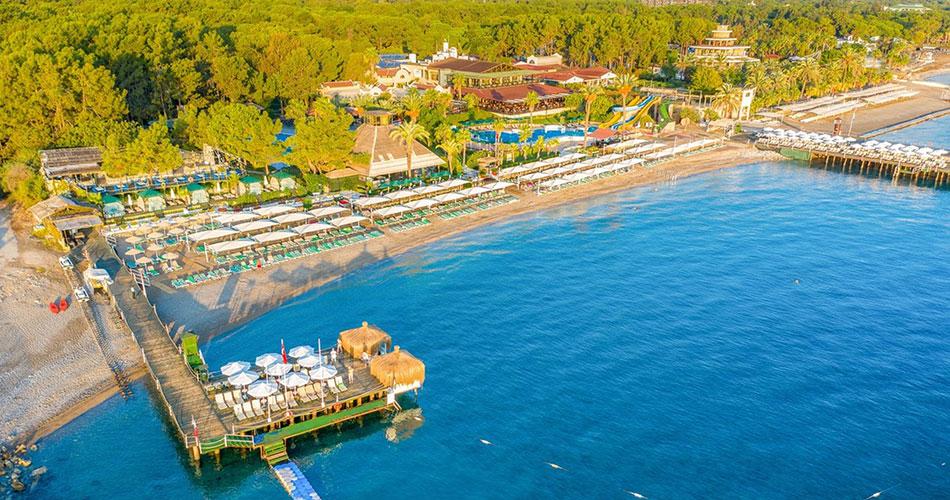 Gypsophila-Club-Marine-OVERVIEW