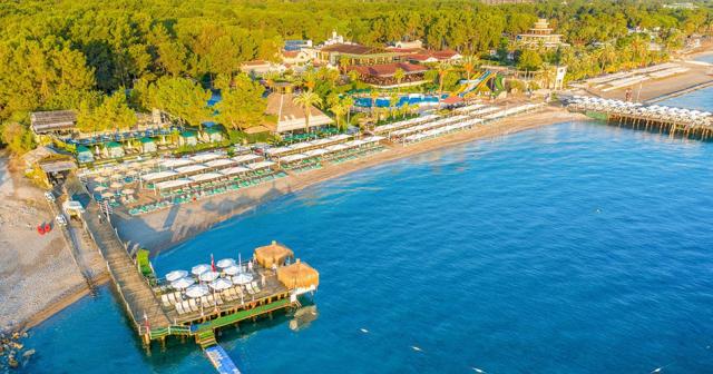 Gypsophila-Club-Marine-OVERVIEW