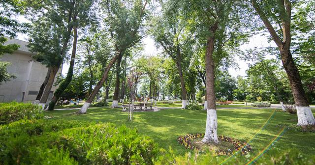 Cinema-GARDEN