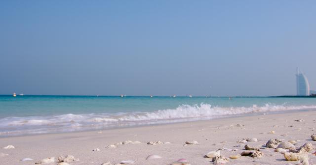 Golden-Tulip-Media-2025-Sufouh-beach