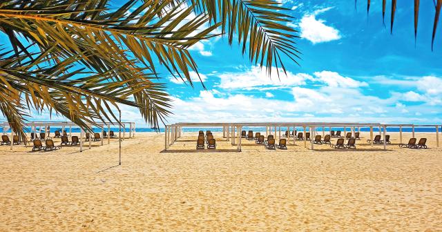 Halos-Casa-2025-BEACH-04