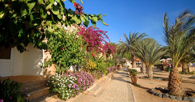 Morabeza-GARDEN