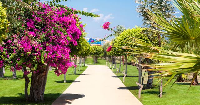 Noahs-Ark-Deluxe-Hotel-and-Spa-GARDEN