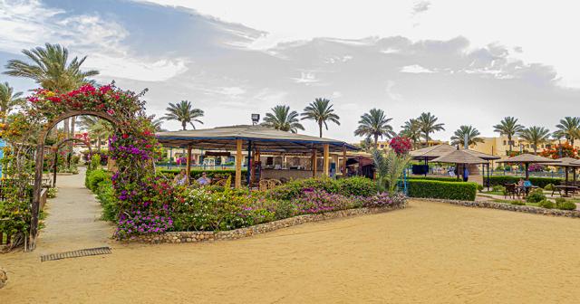 El-Phistone-Beach-Resort-BEACH-BAR-2022