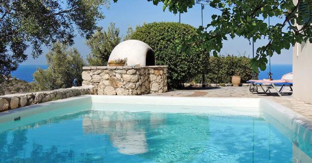 Olea-POOL