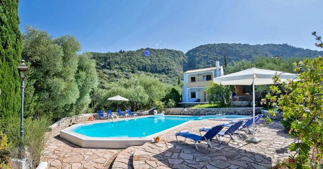 Ilex-POOL-01