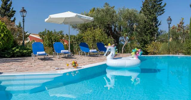 Ilex-POOL-03