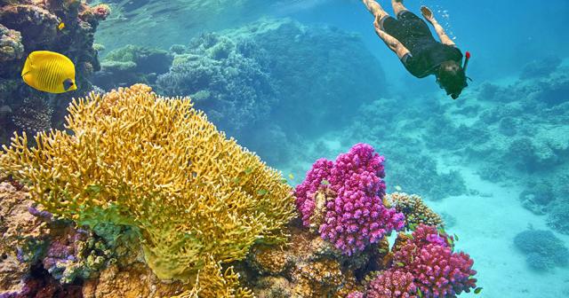 Nile-Cruise-Rmf-Luxor-Aswan-8-Days-MARSA-ALAM