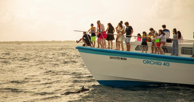 Bandos-Island-Resort-and-Spa-2025-DOLPHIN-CRUISE