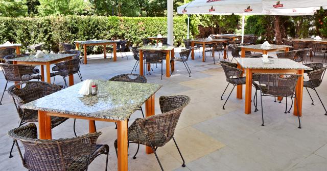 Aktinia-TERRACE-2024