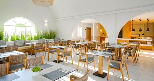 El-Greco-AMPELOS-RESTAURANT-2025