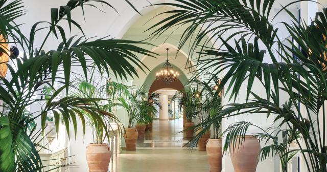 Grecotel-Casa-Paradiso-2025-LOBBY-01