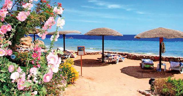 Albatros-Royal-Grand-BEACH