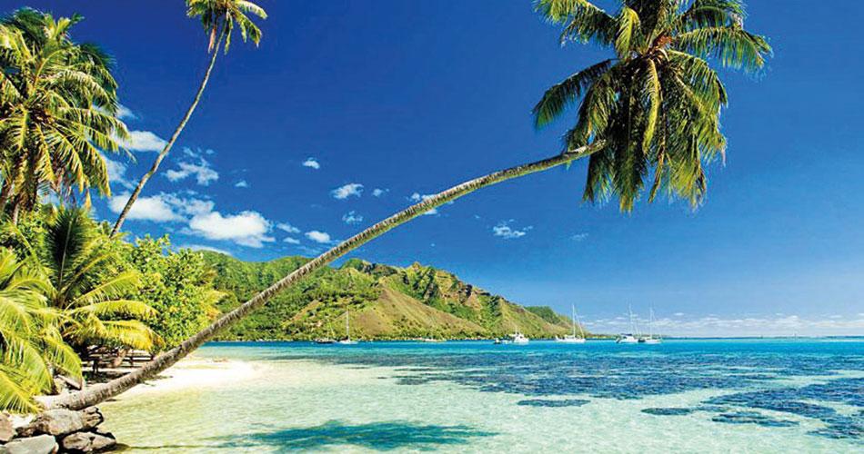 Pearle-Beach-Resort-and-Spa-BEACH-AND-SEA