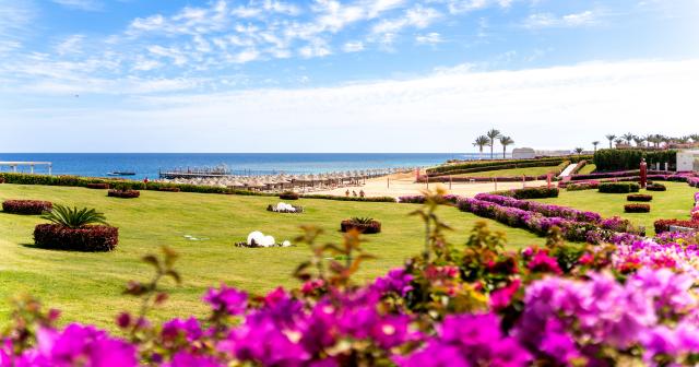 Sirena-Beach-Resort-and-Spa-OVERVIEW-2025-02