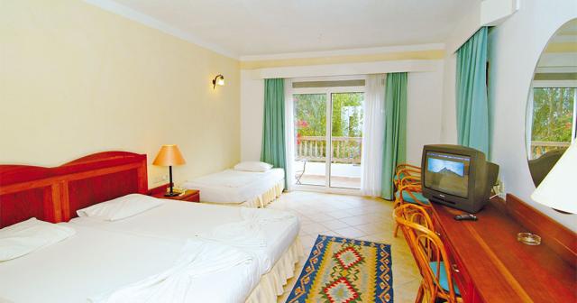 Okaliptus-ROOM-02