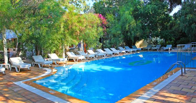 Okaliptus-POOL