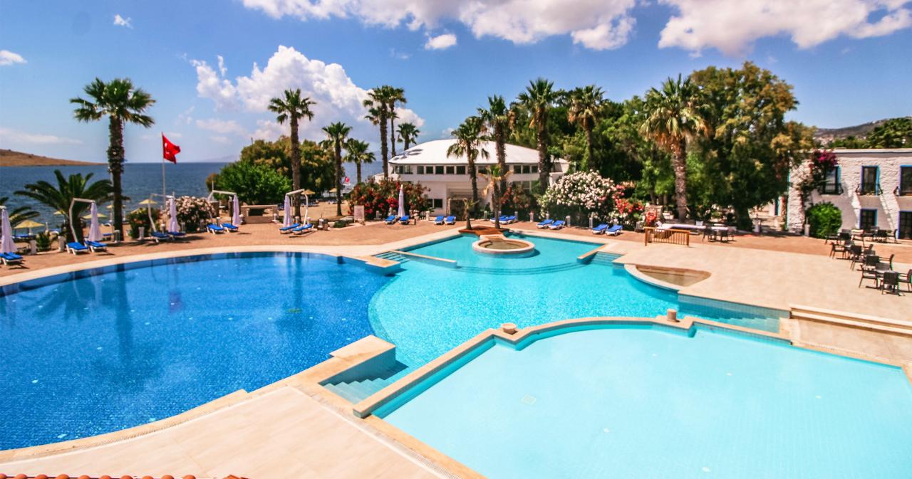 Club-Muskebi-2024-POOL-01