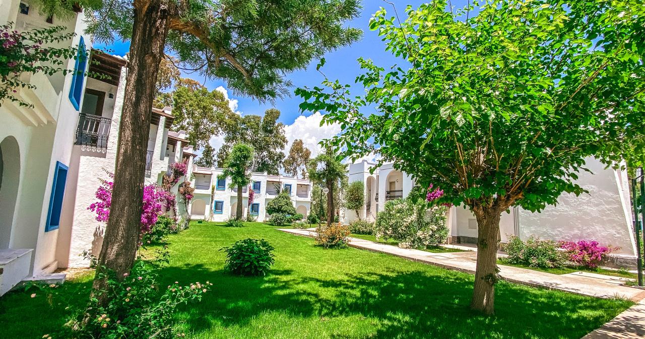 Club-Muskebi-2024-GARDEN-01