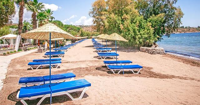 Club-Muskebi-BEACH