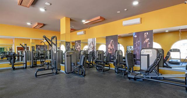 Pickalbatros-Vita-Resort-Portofino-NEW-2024-GYM