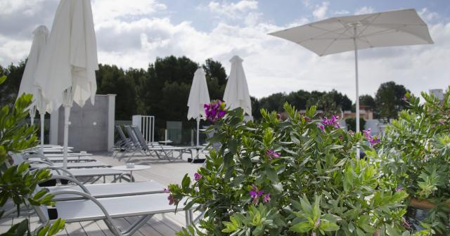 BQ-PAGUERA-2025-SUNBEDS