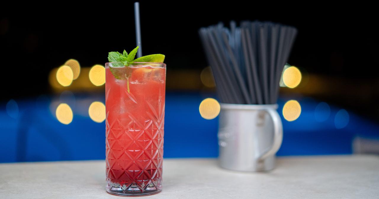Villaggio-Hotel-Roller-Club-BAR-2024-01