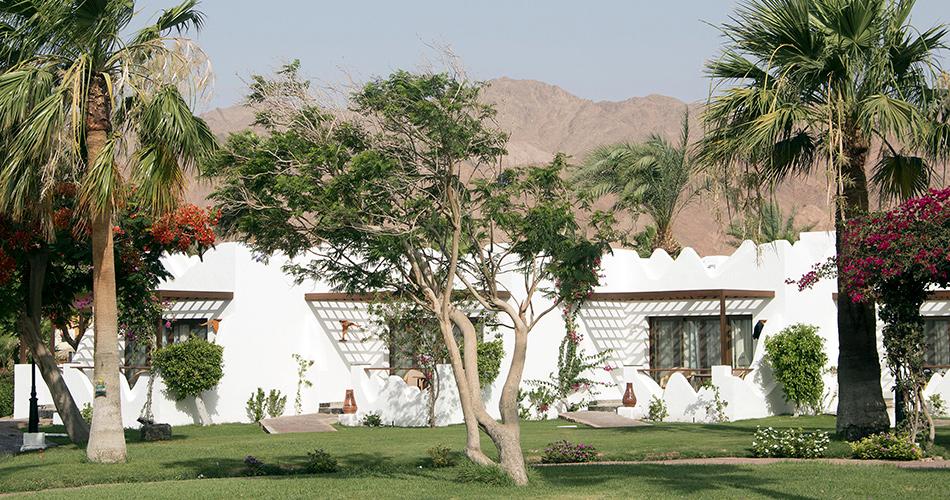 Swiss-Inn-Resort-Dahab-GARDEN-02