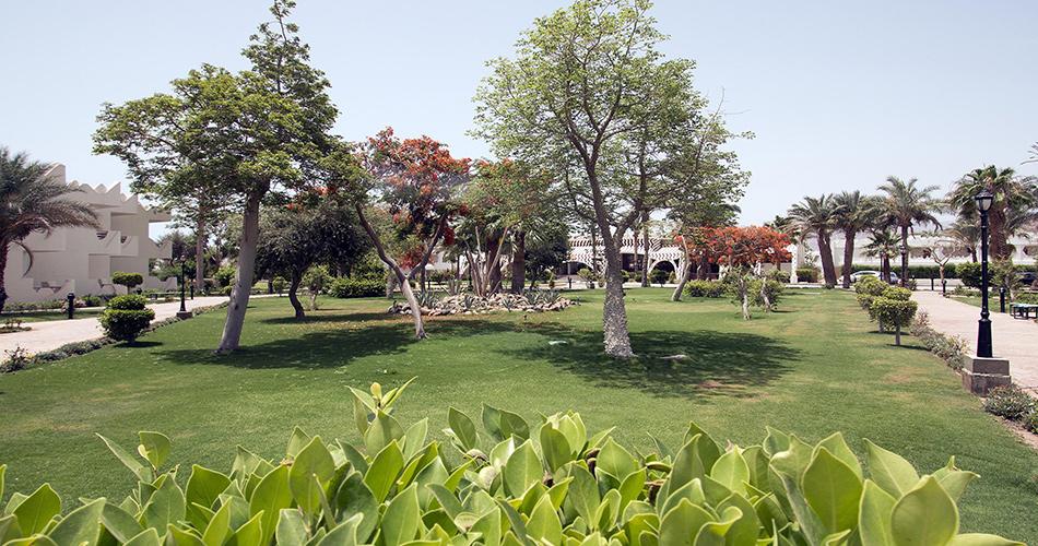 Swiss-Inn-Resort-Dahab-GARDEN-03