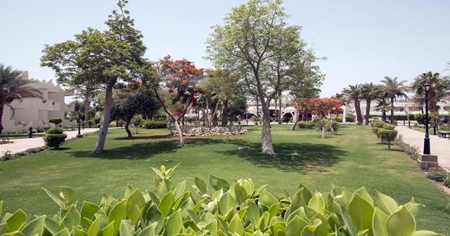 Swiss-Inn-Resort-Dahab-GARDEN-03