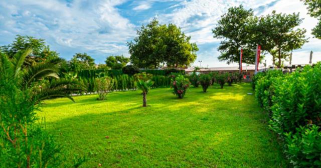 Martinez-GARDEN-2024
