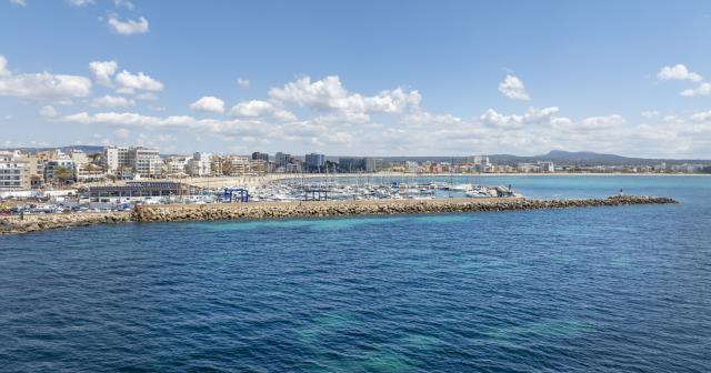 Bq-Apolo-PLAYA-DE-PALMA-AREA-2025