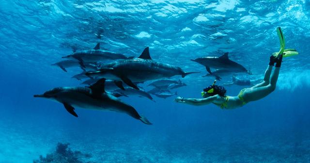 Sunrise-Anjum-Resort-DIVING