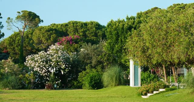 Ali-Bey-Resort-Sorgun-GARDEN-2025-04