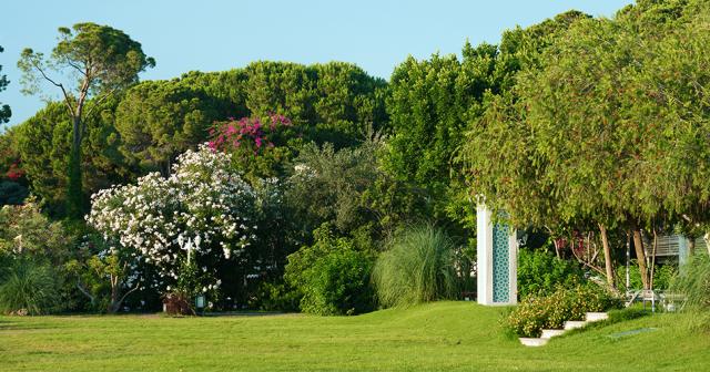 Ali-Bey-Resort-GARDEN