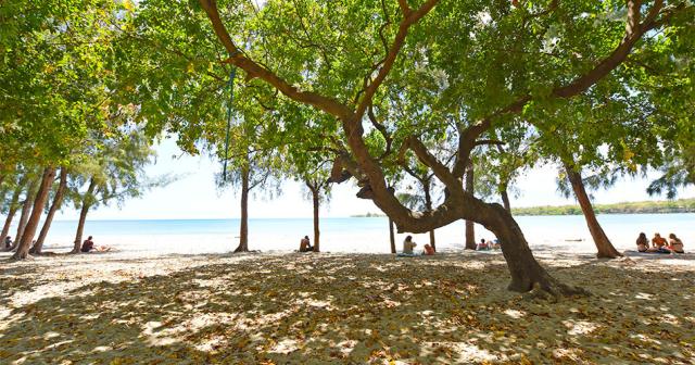 Veranda-Tamarin-BEACH