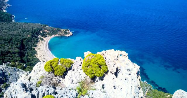Vila-Sofia-BEACH-04-2025