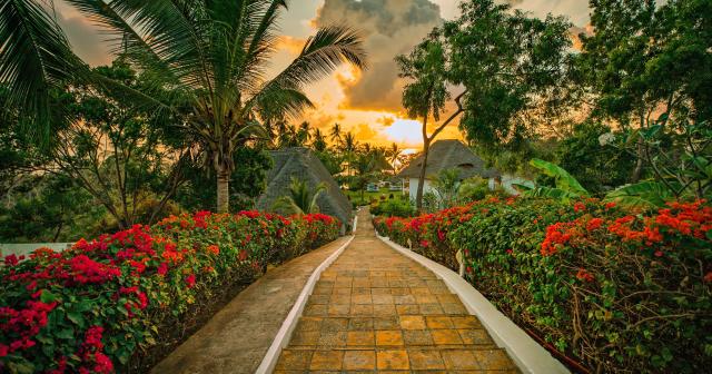 Filao-Beach-By-Sansi-GARDEN-02