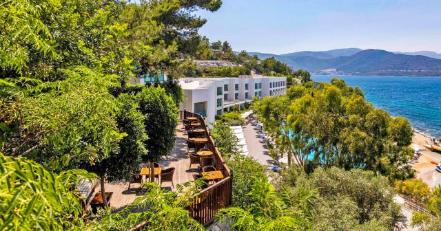 Blue-Dreams-Resort-2024-TEA-GARDEN